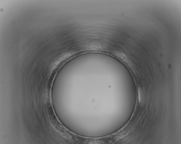 X0000063490579200601271722