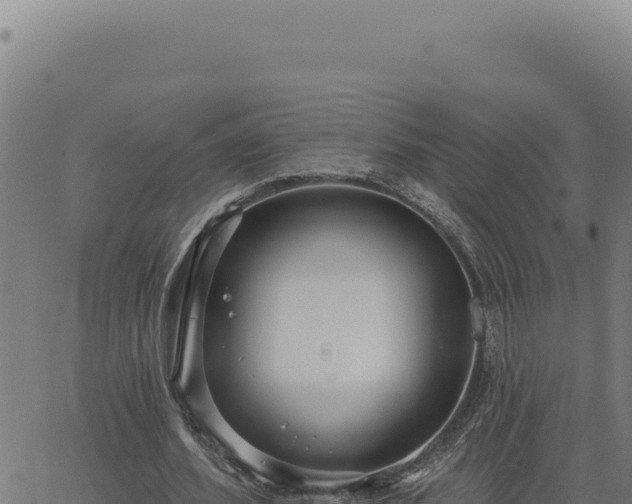 X0000063490580200601271722