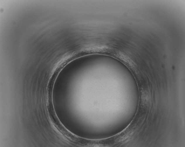 X0000063490582200601271722