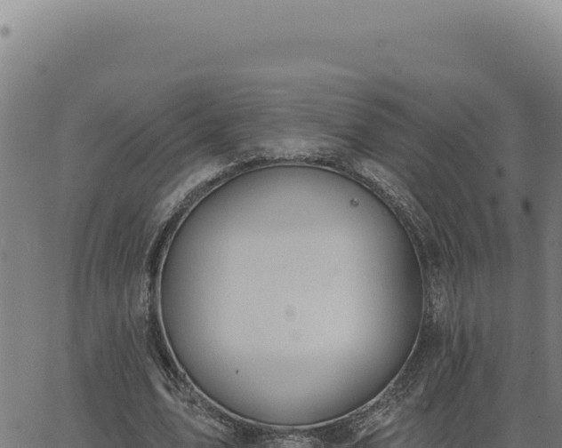 X0000063490583200601271722