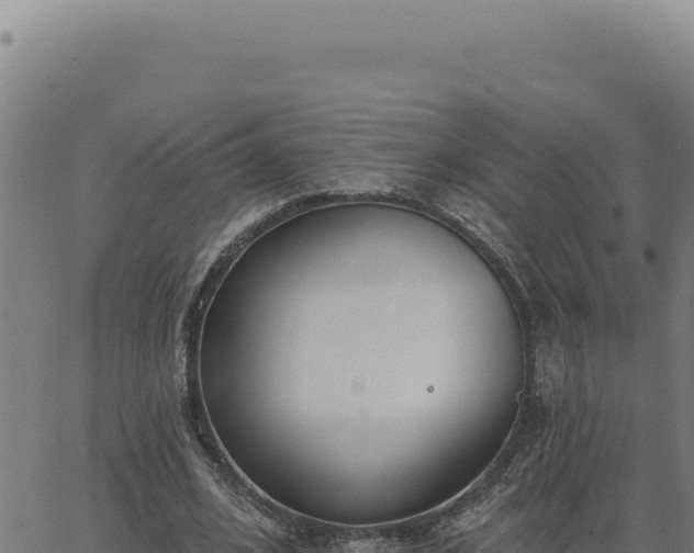 X0000063490584200601271722