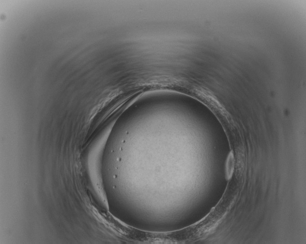 X0000063490585200601271722