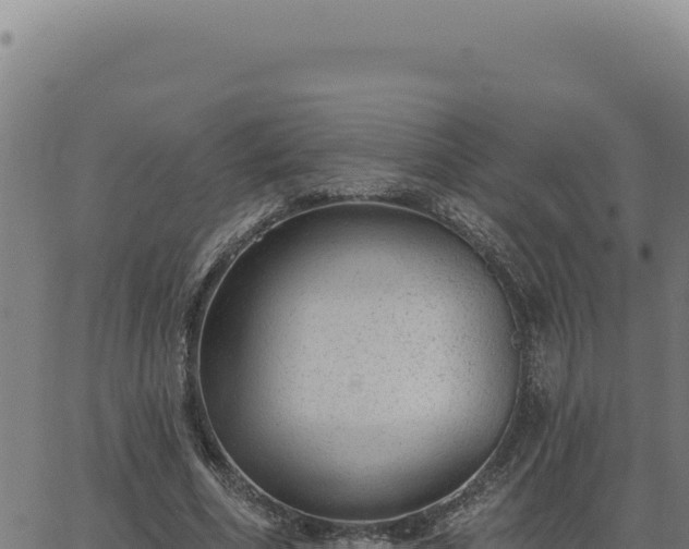 X0000063490586200601271722