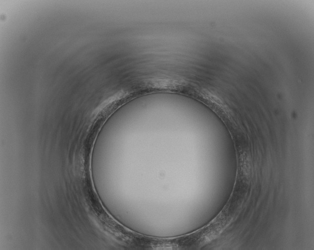 X0000063490587200601271722