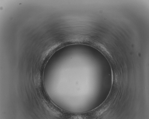 X0000063490588200601271722