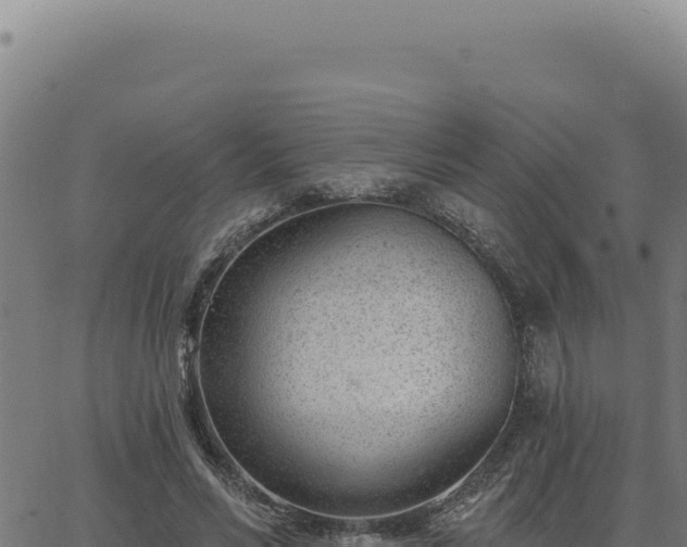 X0000063490590200601271722