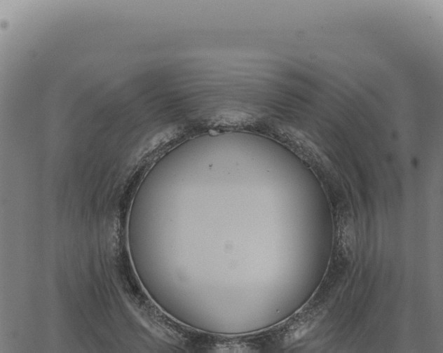 X0000063490591200601271722