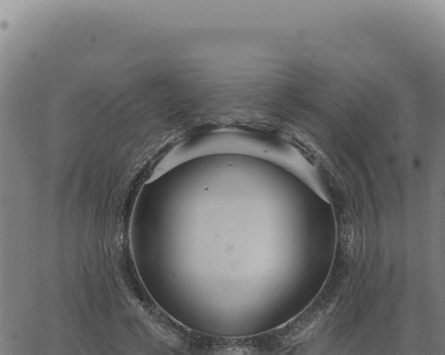 X0000063490593200601271722