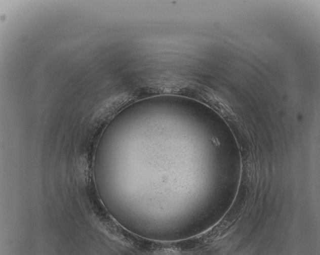 X0000063490594200601271722