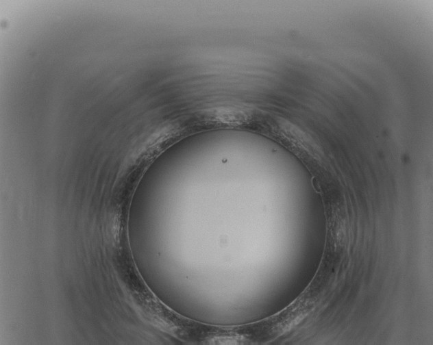 X0000063490595200601271722