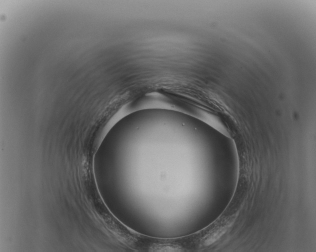 X0000063490597200601271722