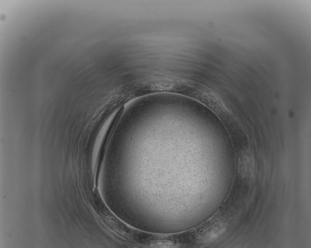 X0000063490598200601271722