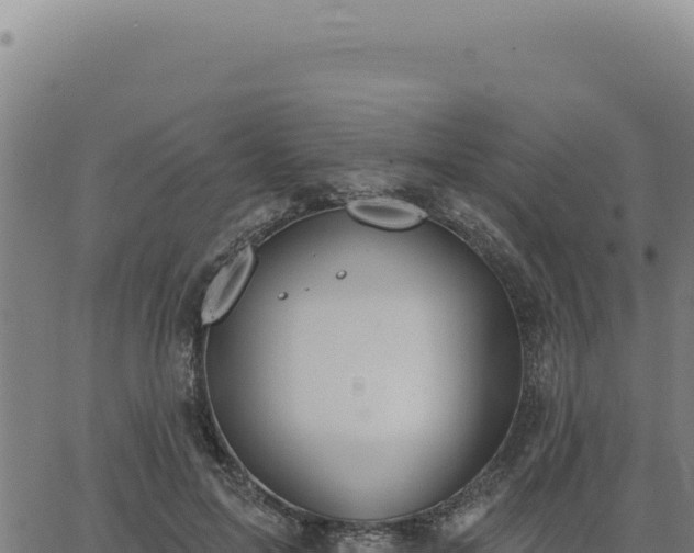 X0000063490599200601271722