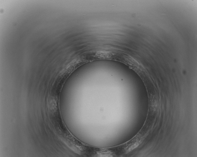 X0000063490603200601271722