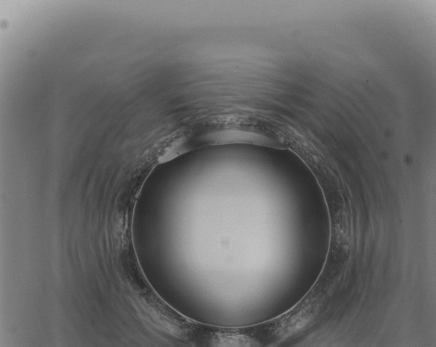 X0000063490605200601271722