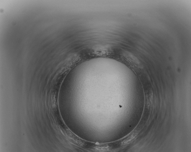 X0000063490606200601271722