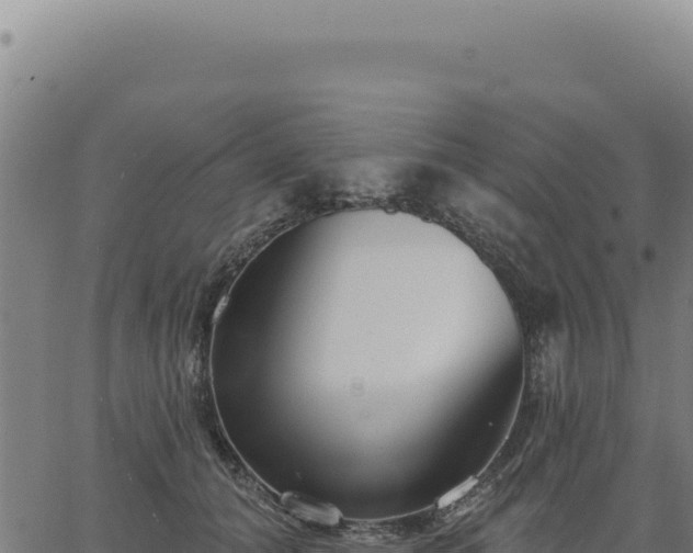 X0000063490608200601271722