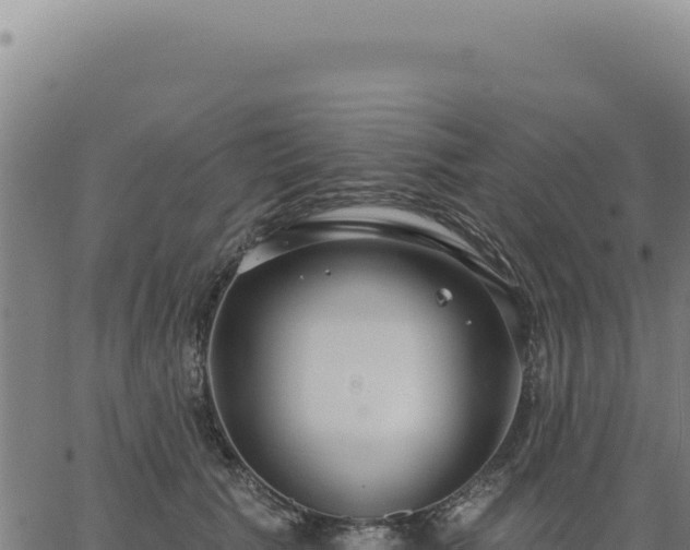 X0000063490609200601271722