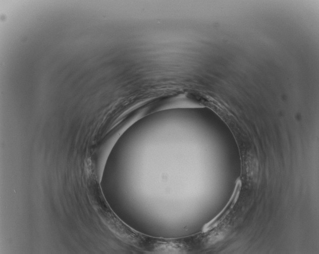 X0000063490611200601271722