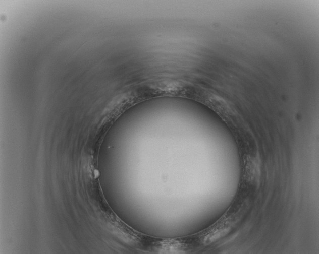 X0000063490612200601271722