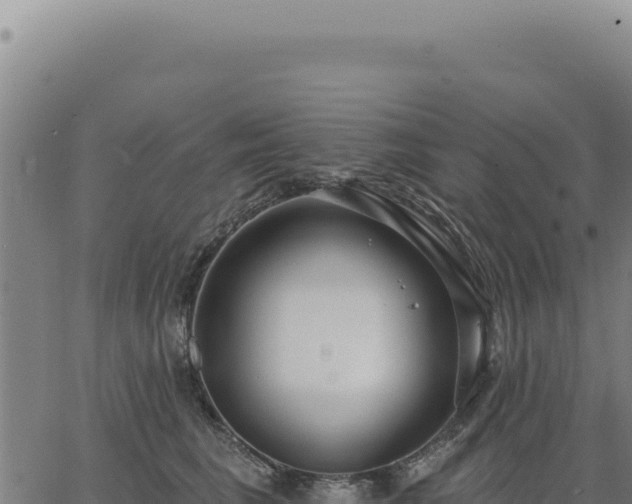 X0000063490613200601271721