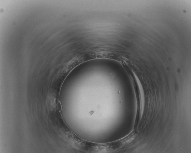 X0000063490615200601271721