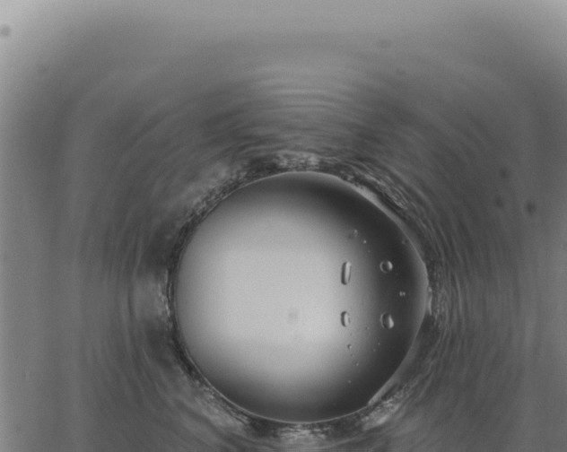 X0000063490616200601271721