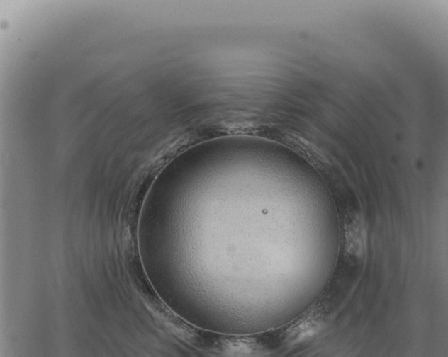 X0000063490618200601271721