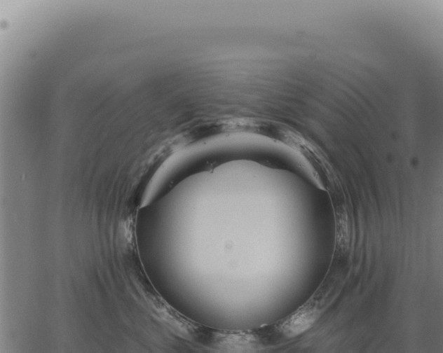 X0000063490621200601271721