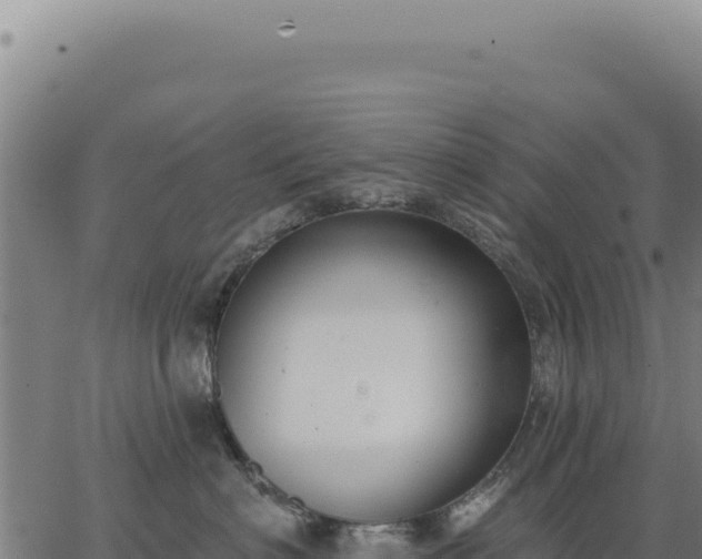 X0000063490622200601271721