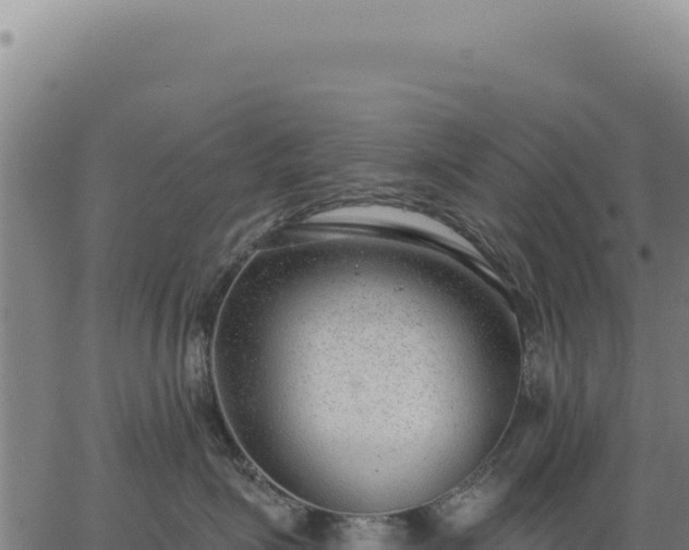 X0000063490623200601271721