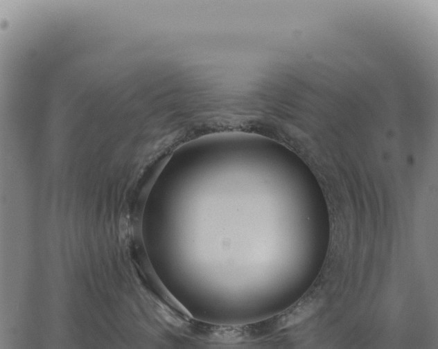 X0000063490624200601271721