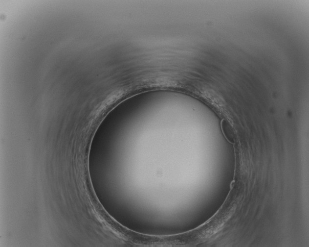 X0000063490625200601271721