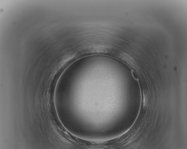 X0000063490627200601271721