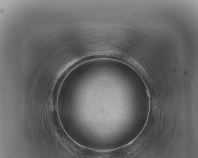 X0000063490628200601271721