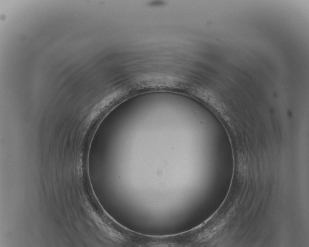 X0000063490629200601271721