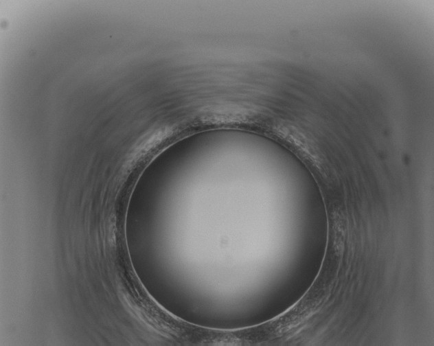 X0000063490631200601271721