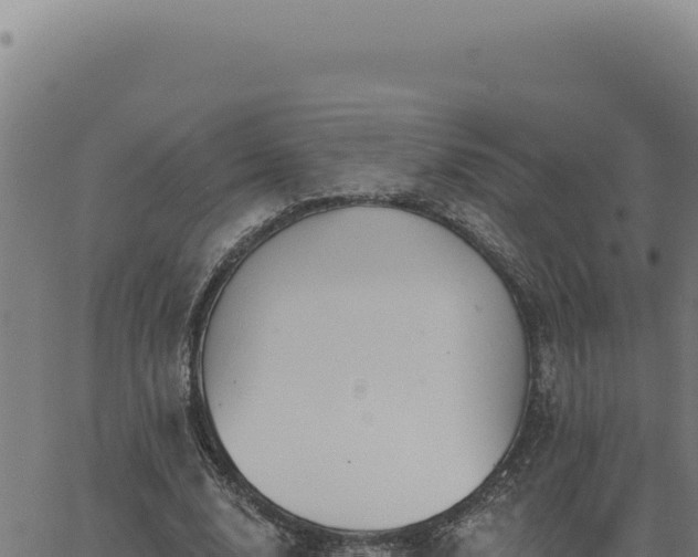 X0000063490632200601271721