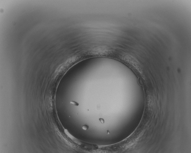 X0000063490633200601271721