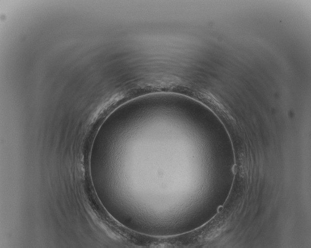 X0000063490634200601271721