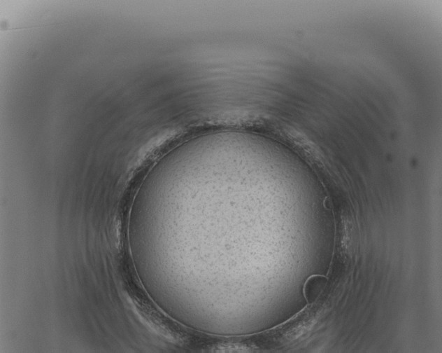 X0000063490636200601271721