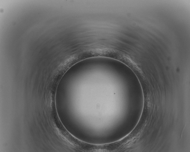 X0000063490637200601271721