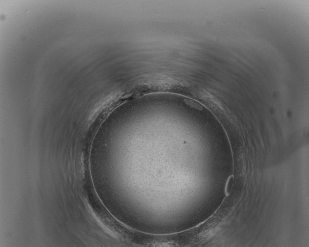 X0000063490638200601271721