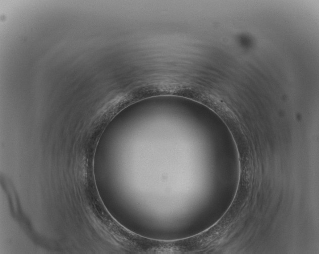 X0000063490639200601271721