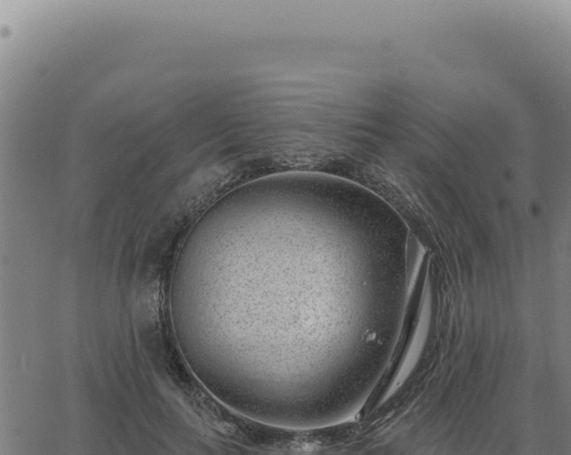 X0000063490647200601271721