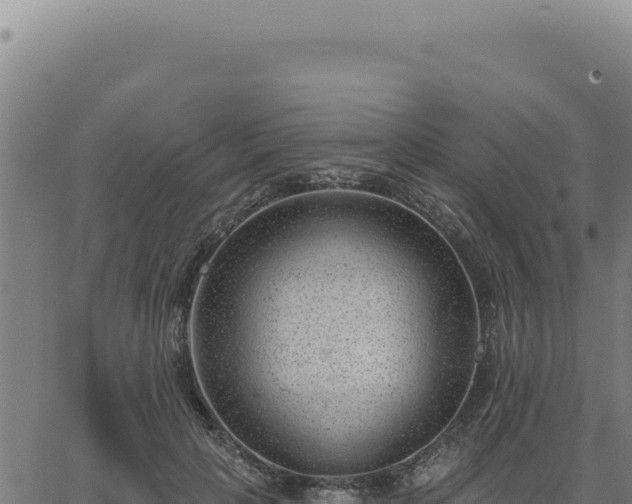 X0000063490649200601271721