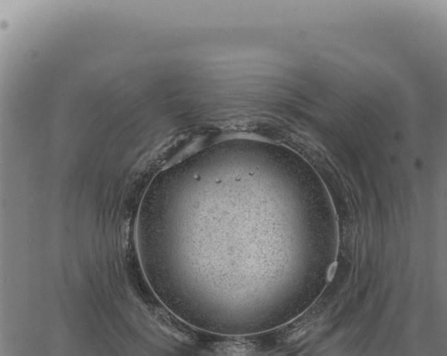 X0000063490652200601271721