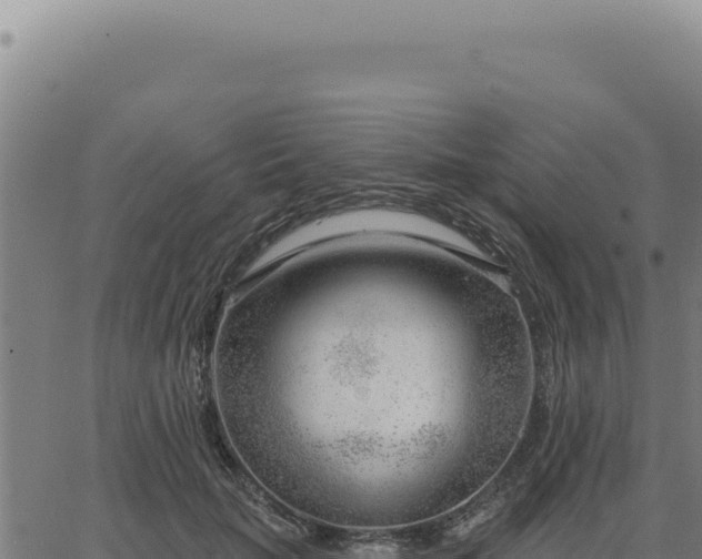 X0000063490653200601271721