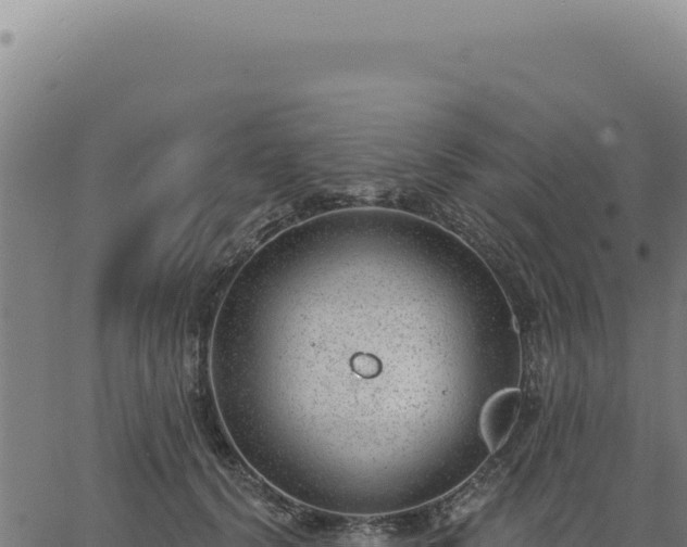 X0000063490656200601271721