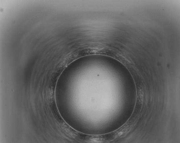 X0000063490657200601271721